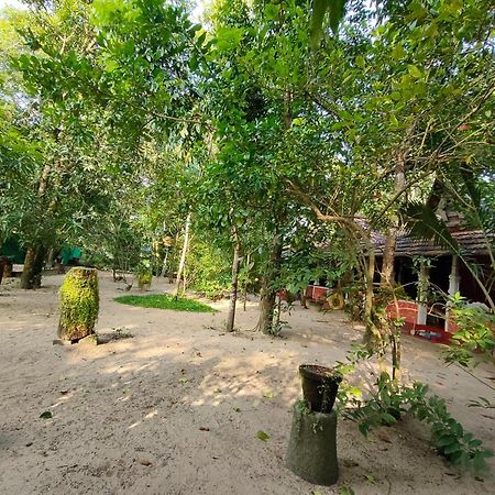 Abba Marari Beach Villas & Homestay Mararikulam Alappuzha Exteriér fotografie